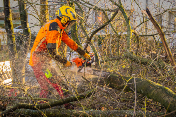 SWB25-254_Volbers_und_Redemann_Massnahmen-1 SWB25-254_Volbers_und_Redemann_Massnahmen-1