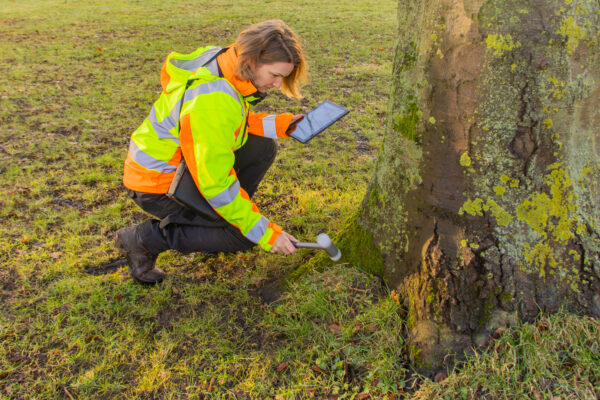 SWB25-254_Volbers_und_Redemann_Massnahmen-6 SWB25-254_Volbers_und_Redemann_Massnahmen-6